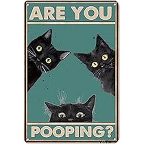 B0CY2X8XPC_800x800.jpg